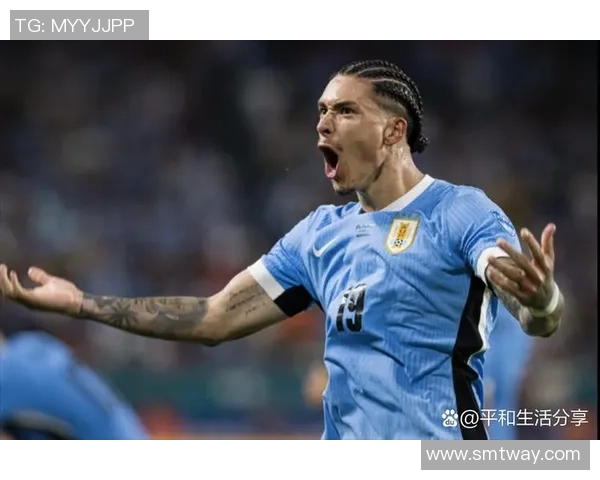 努涅斯在足球赛场上的崛起与挑战探讨 努涅斯在足球赛场上的崛起与挑战探讨