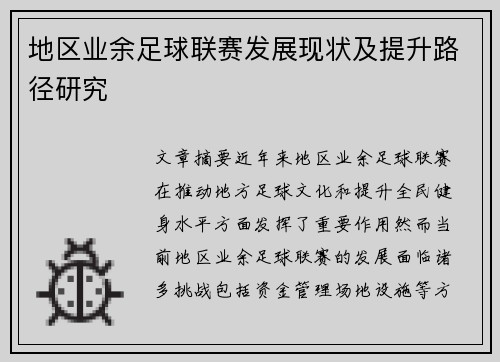 地区业余足球联赛发展现状及提升路径研究