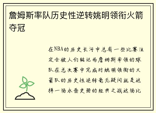 詹姆斯率队历史性逆转姚明领衔火箭夺冠